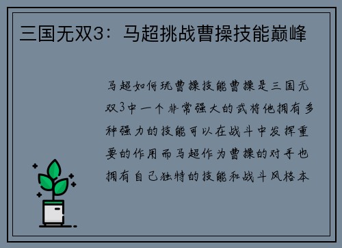 三国无双3：马超挑战曹操技能巅峰