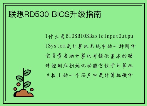 联想RD530 BIOS升级指南