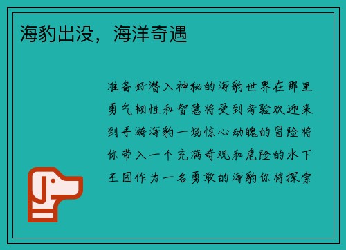 海豹出没，海洋奇遇